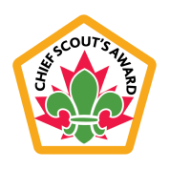 Scouts Chief Scout 1