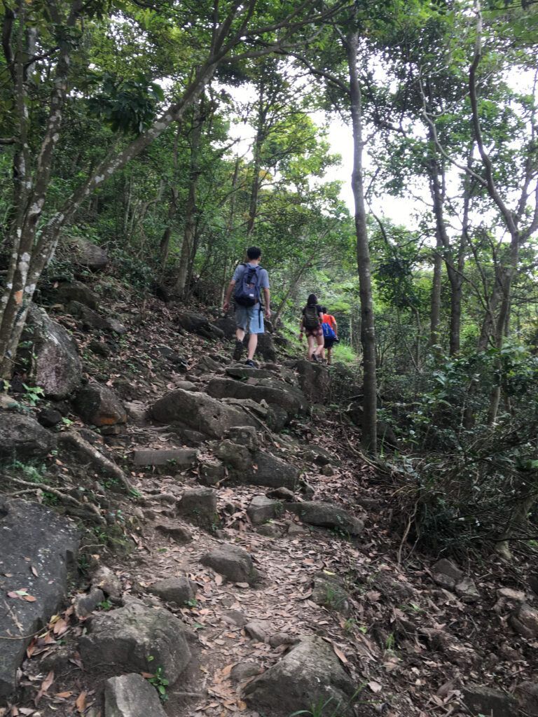 Rover Hiking 1