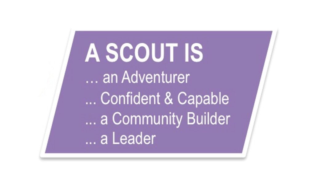 a scout is
